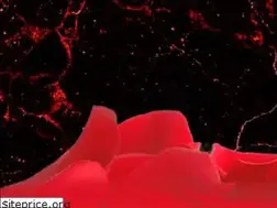 Sites similar to valentineshauntedhouses.com