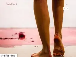 Sites similar to valepalmi.com