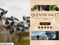 Sites similar to valetquentin.myportfolio.com