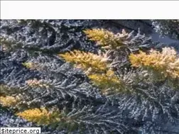 Sites similar to vallentuna.se