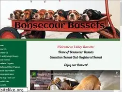 Sites similar to valleybassets.com