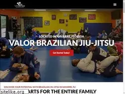 Sites similar to valorbrazilianjiujitsu.com
