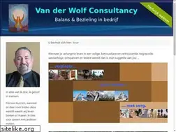 Sites similar to van-der-wolf-consultancy.nl