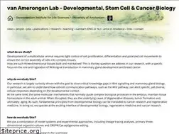 Sites similar to vanamerongenlab.nl