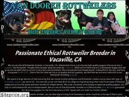 Sites similar to vandorrenrottweilers.com