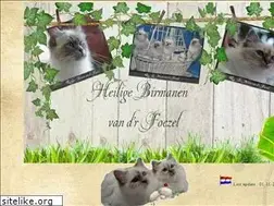 Sites similar to vandrfoezel.nl