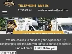 Sites similar to vandyman.com