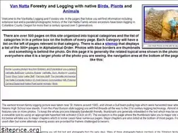 Sites similar to vannattabros.com