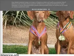 Sites similar to varazsvizslas.blogspot.com