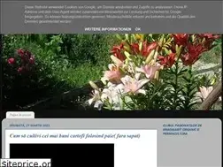 Sites similar to vasilerosciuc.blogspot.com