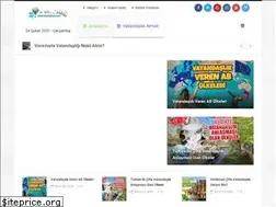 Sites similar to vatandaslikvize.com