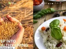 Sites similar to vayalkart.com