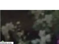 Sites similar to vbgardens.org
