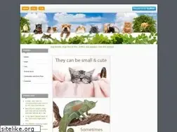 Sites similar to veanimals.com