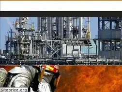 Sites similar to vecs.in