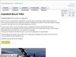 Sites similar to vedatkaptan.com