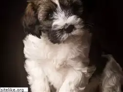 Sites similar to veekmans.be