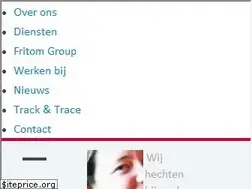 Sites similar to veenstrafritom.nl
