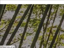 Sites similar to veganland.cz