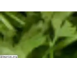 Sites similar to veganocrudista.it