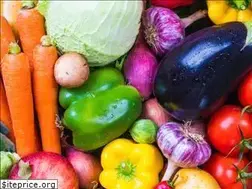Sites similar to vegetarian-nation.com
