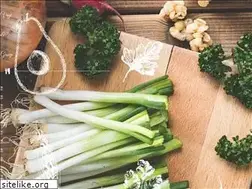 Sites similar to vegi.jp