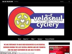 Sites similar to velosoul.com