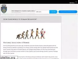Sites similar to velotic.ro