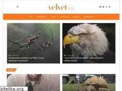 Sites similar to velvetpets.it