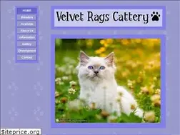 Sites similar to velvetrags.com