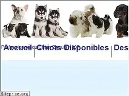 Sites similar to vente-chiots.com