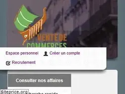 Sites similar to vente-de-commerces.com