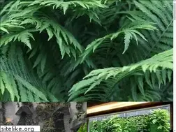 Sites similar to verde360.cl