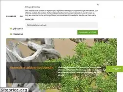 Sites similar to verdebonsai.com