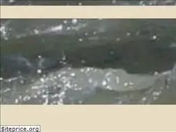 Sites similar to verderiveradventurecenter.com