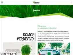 Sites similar to verdevivo.cl