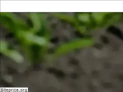 Sites similar to verdilife.com