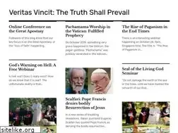 Sites similar to veritas-vincit-international.org