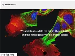 Sites similar to vermeulenlab.org