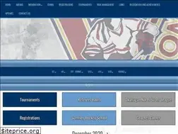 Sites similar to vernonminorhockey.com
