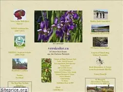 Sites similar to versicolor.ca