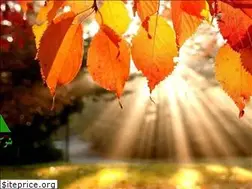 Sites similar to vesalsabztehran.ir