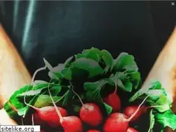 Sites similar to veseys.com
