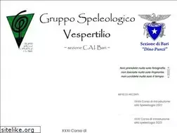 Sites similar to vespertilio.it