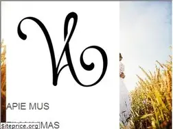 Sites similar to vestuviuakimirka.lt