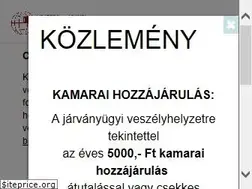 Sites similar to veszpremikamara.hu