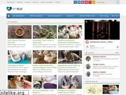 Sites similar to vetbilgi.com