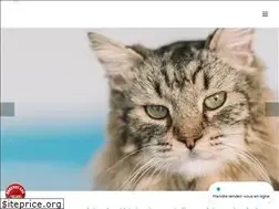Sites similar to veterinaire-lotus.fr