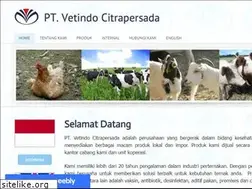 Sites similar to vetindo.com