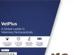 Sites similar to vetplusglobal.com